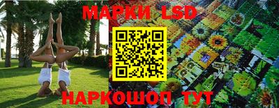 сатива Бузулук