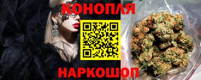 стафф Будённовск