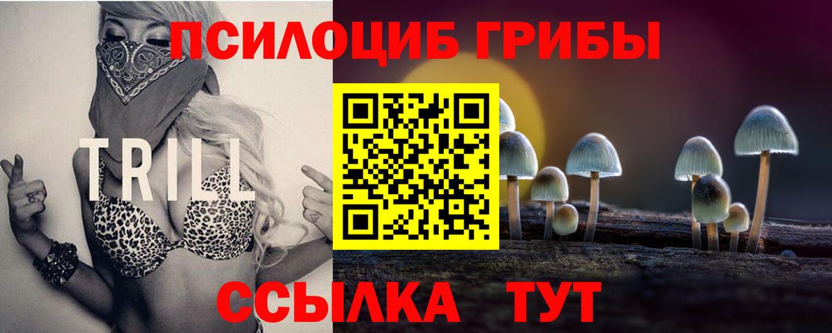 Псилоцибиновые грибы Psilocybine cubensis Балашов