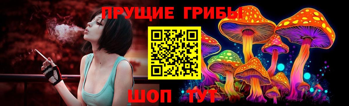 купить наркотик  Псилоцибиновые грибы Psilocybe  Вход с VPN  Балашов 